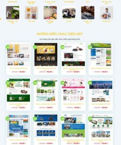 Mẫu Website Công ty thiết kế website 7